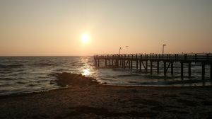 Bild 13: Häuschen "Sunshine Cottage" für max. 3 Pers. - Ostsee mit Hund - strandnah