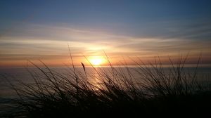 Bild 19: Häuschen "Sunshine Cottage" für max. 3 Pers. - Ostsee mit Hund - strandnah