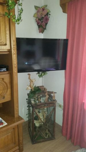 bieten beste Unterhaltungsmöglichkeiten - Bild 11: Ferienwohnung "Renate" im Feriendorf "Am Hohen Bogen" im Luftkurort Arrach