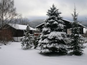 auch im Winter ein Vergnügen - Bild 8: Ferienwohnung "Renate" im Feriendorf "Am Hohen Bogen" im Luftkurort Arrach