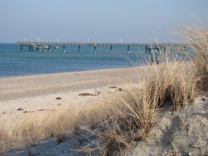 Strand mit Seebrücke in Rerik - Bild 19: Ferienhof im Ostseebad Rerik- Ferienhaus (Doppelhaus)