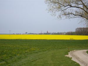 Bild 24: Ferienhof im Ostseebad Rerik- Ferienhaus (Doppelhaus)