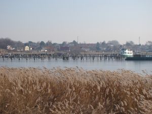 Bild 23: Ferienhof im Ostseebad Rerik- Ferienhaus (Doppelhaus)
