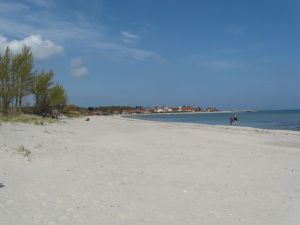 zum Vogelschutzgebiet Der Hohwachter Strand auf dem Weg zum Vogelschutzgebiet "Sehlendorfer Binnensee". - Bild 5: Großzügige Ferienwohnung mit Meerblick und Infrarotsauna in Hohwacht