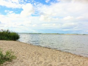 Bild 12: Ferienbungalow an der Ostsee bei Rügen/Stahlbrode