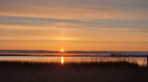 Bild 10: Pension Siegert Whg. 1 im Kranichdorf Bresewitz