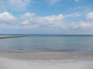 Bild 11: Pension Siegert Whg. 1 im Kranichdorf Bresewitz