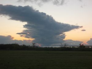 Bild 12: Pension Siegert Whg. 1 im Kranichdorf Bresewitz