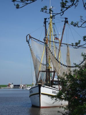 Ein Granatfischer am Hafen - Bild 9: Hundefreundliche komfortable Vier-Sterne-FeWo mit Sauna an der Nordsee