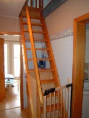 Leiter/Treppe ins Dachgeschoß - Bild 6: FeWo Entennest für 4 Personen Hunde willkommen