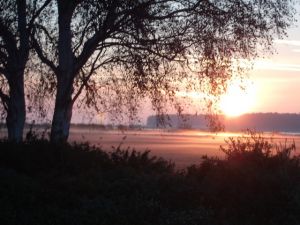 Bild 10: Pension Siegert Whg. 2 im Kranichdorf Bresewitz