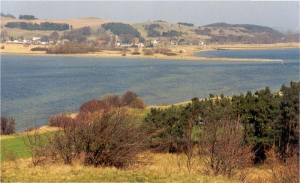 Die Wohnung liegt direkt am Bodden/Ostsee und unmittelbar im Biosphärenreservat (Zickerische Berge). - Bild 27: Rügen Träumen, die Seele baumeln lassen, die Ruhe und die Stille genießen