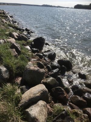 Bild 42: Rügen Träumen, die Seele baumeln lassen, die Ruhe und die Stille genießen