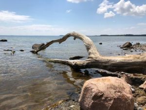 Bild 22: Rügen Träumen, die Seele baumeln lassen, die Ruhe und die Stille genießen