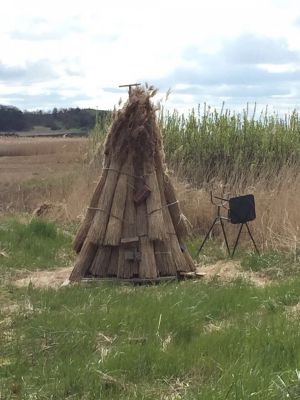 In Groß Zicker/ Reet - Bild 31: Rügen Träumen, die Seele baumeln lassen, die Ruhe und die Stille genießen