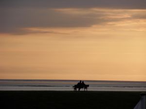Bild 13: Charmantes Ferienhaus mit vielen Extras direkt an der Nordsee