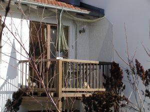 Bild 13: Ferienwohnung Mau & Wau Falkenstein