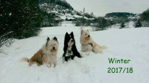 Bild 20: Ferienwohnung Mau & Wau Falkenstein