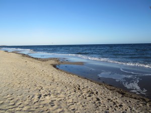 Ferienhaus Ostseetraum Urlaub Mit Hund An Der Ostsee 1 60m Hoch