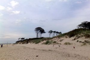 Bild 4: FeWo Spatzenruh für 2 Pers. in Prerow an der Ostsee