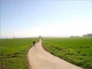 Bild 15: Ferienhaus Anabel für 7 Pers., 400m z. Strand in Schönhagen mit Wärmekabine