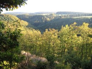 Das herrliche Sammetbachtal am schönen 2-Bäche-Pfad. Hier können Kinder im kleinen Sammetbach auf Entdeckungsreise gehen. - Bild 19: Eifel-Mosel ***Ferienwohnung Alte Schmiede I