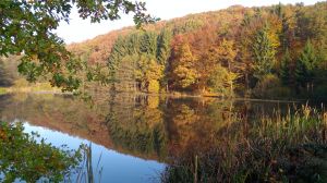 Bild 22: Eifel-Mosel ***Ferienwohnung Alte Schmiede I