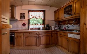 Bild 11: Panorama Ferienhaus am Waldrand - kompl. eingezäunt