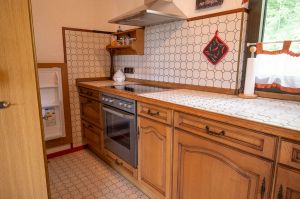 Herd, Backofen etc. - Bild 12: Panorama Ferienhaus am Waldrand - kompl. eingezäunt