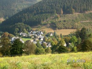 Bild 9: Der Sonnenschein in Schmallenberg-Oberkirchen im Sauerland-Hund willkommen