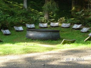 Waldskulptur "Hexenplatz" in Oberkirchen - Bild 27: Der Sonnenschein in Schmallenberg-Oberkirchen im Sauerland-Hund willkommen