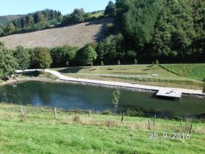 Bild 11: Der Sonnenschein in Schmallenberg-Oberkirchen im Sauerland-Hund willkommen