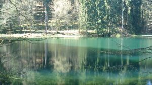 Bild 12: Der Sonnenschein in Schmallenberg-Oberkirchen im Sauerland-Hund willkommen