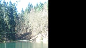 Bild 13: Der Sonnenschein in Schmallenberg-Oberkirchen im Sauerland-Hund willkommen
