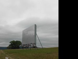 Waldskulptur "Blinker II" - Bild 17: Der Sonnenschein in Schmallenberg-Oberkirchen im Sauerland-Hund willkommen