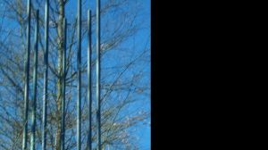 Waldskulptur "Über den Teichen" - Bild 18: Der Sonnenschein in Schmallenberg-Oberkirchen im Sauerland-Hund willkommen