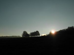 Bild 21: Der Sonnenschein in Schmallenberg-Oberkirchen im Sauerland-Hund willkommen
