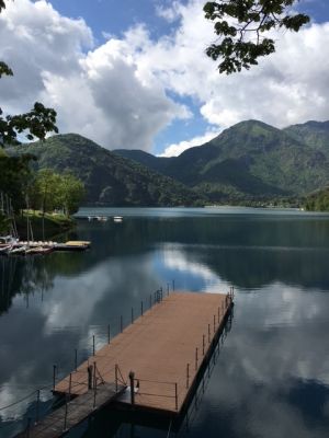 Bild 22: Villa Federica direkt am See, eingez. Garten. Hunde herzlich willkommen