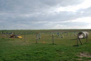 Bild 21: Ferienhaus Küstenperle, WLAN, NR, eingezäunter Garten 1,20m, strandnah