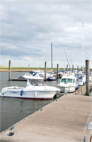 Bild 22: Ferienhaus Küstenperle, WLAN, NR, eingezäunter Garten 1,20m, strandnah