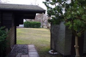 Hier können Hund und Mensch beliebig viel spielen und toben. - Bild 14: Hundefreundliches Ferienhaus im schönen Ostseebad Prerow