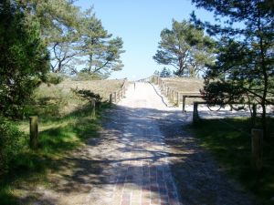 Gleich kommt das Wasser - Bild 18: Hundefreundliches Ferienhaus im schönen Ostseebad Prerow