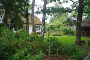 Bild 18: FH "Strandräuber", Zaun, W-LAN, Kamin, 5 P., strandnah, 2 Fahrräder