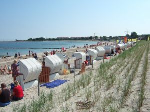 Bild 22: FH "Strandräuber", Zaun, W-LAN, Kamin, 5 P., strandnah, 2 Fahrräder