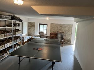 Bild 12: Ferienwohnung Miriquidi Perle - Mittleres Erzgebirge *****