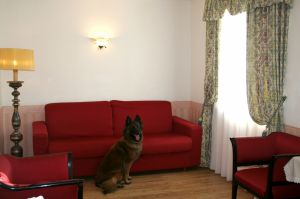 Bild 19: entzückendes Domizil mit eigenem eingezäunem Garten in Südtirol