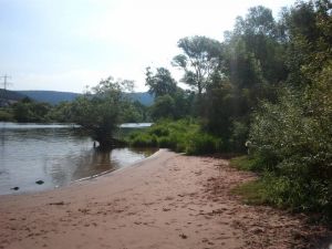 Badebucht am Main sehr versteckt - Bild 36: Ferienhaus Hirtengarten Odenwald Tiere willkommen Hessen