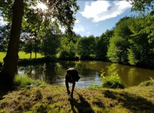 Umgebung Bild 26: Ferienhaus Hirtengarten Odenwald Tiere willkommen Hessen