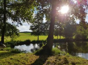 Umgebung Bild 27: Ferienhaus Hirtengarten Odenwald Tiere willkommen Hessen