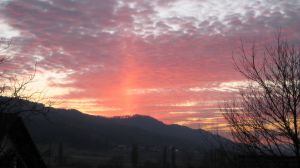 Bild 13: Ferienwohnung Renz Halbinsel Höri Moos-Weiler am Bodensee